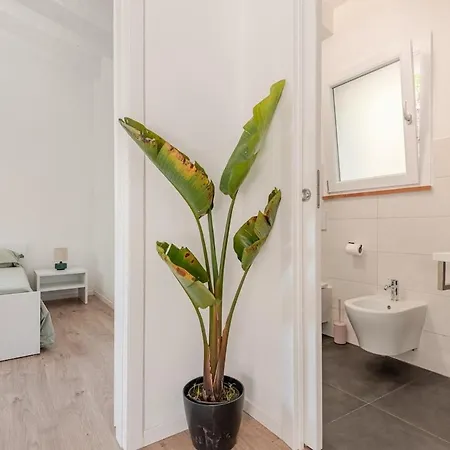 Casa Chiara Elba Island Naregno דירה